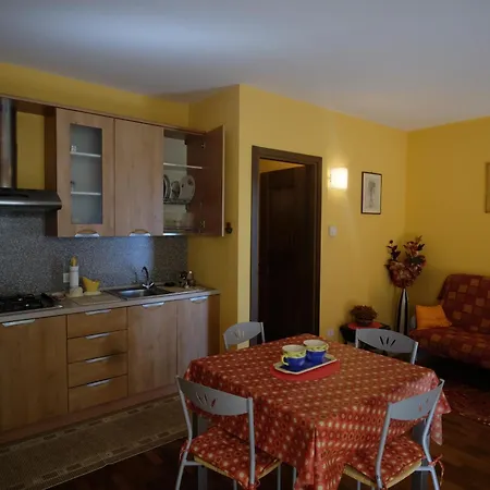Cigno Brisino