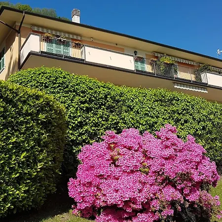 Apartamento Cigno Brisino