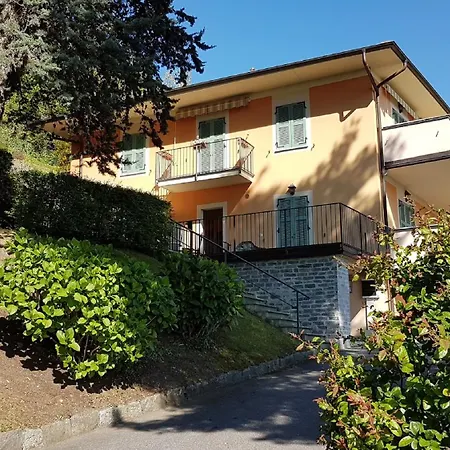 Cigno Brisino